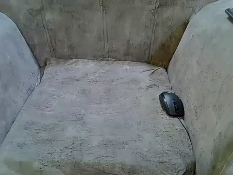 pradapussycat webcam