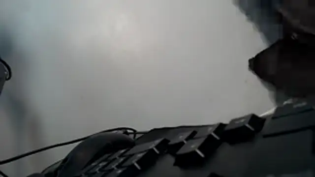 universal_cutie webcam