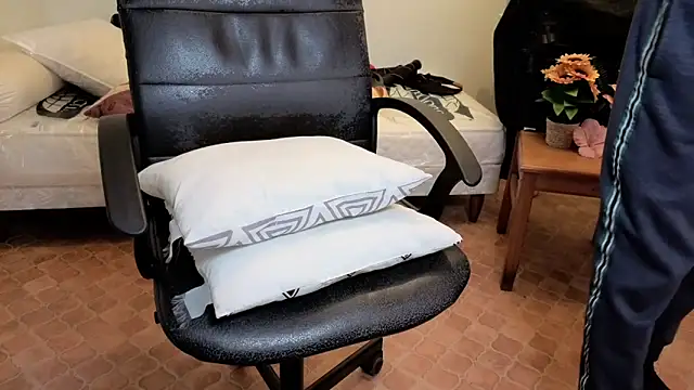 SteveStiffbone webcam