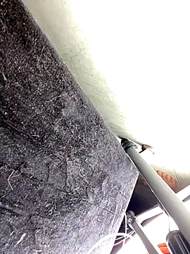 sweetmelissa16 webcam