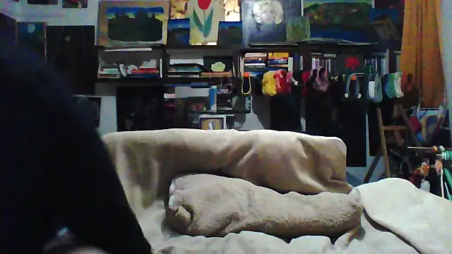 MariaAnaSunshine webcam