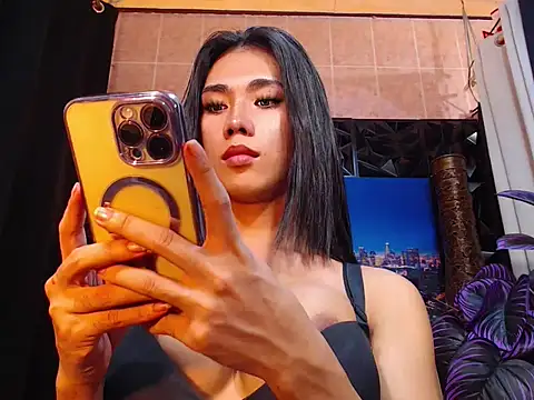 TRANSPORNIDOL webcam