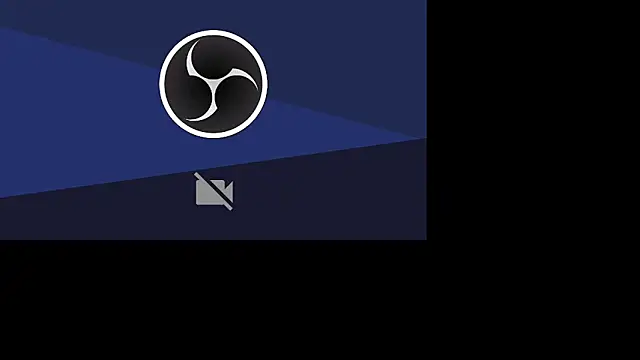 milita_houston webcam