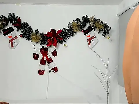 jeanfran_ferrer webcam