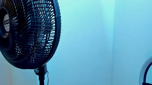 Vittoria_Conti_ webcam