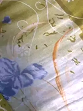 Bangladeshi_Big_male