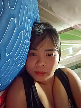 Squirrel-Pear webcam