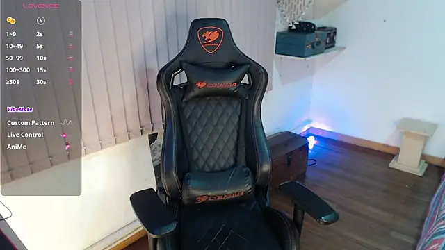 Siriss_boyrag webcam