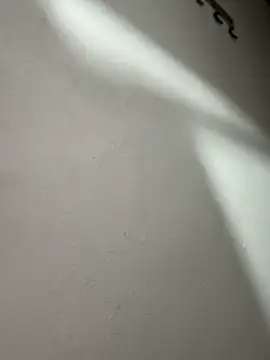 Rizos_hot_official webcam