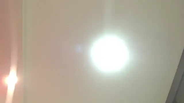 Aurora_blossom__ webcam