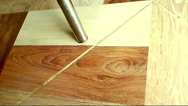 shannon_kinne_ webcam