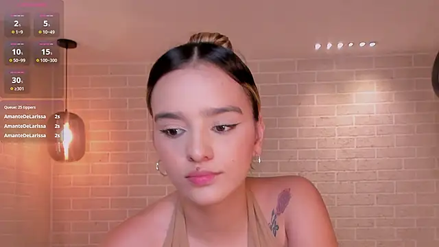 LaurentRosse1 webcam