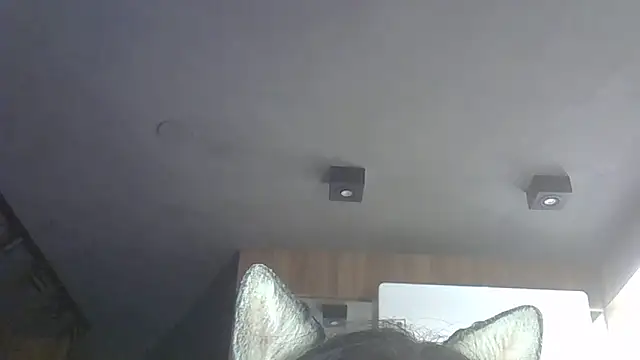 SkinnyKitten webcam