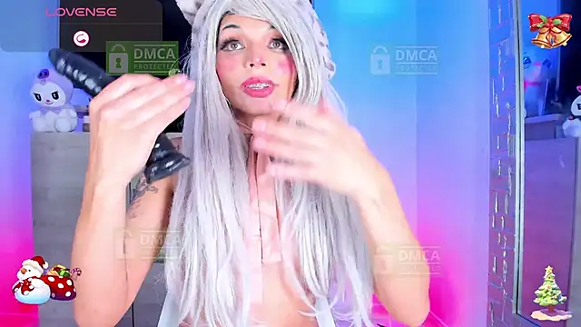 Palmer-Foster webcam