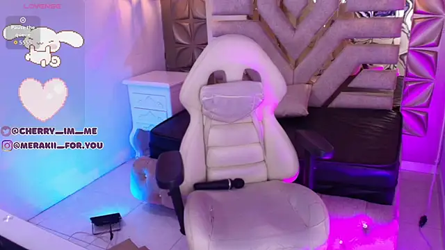 meraki_fraise webcam