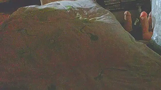 liandragostosa webcam