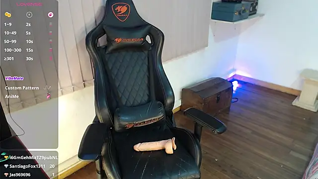 Siriss_boyrag webcam