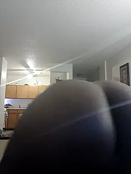 ReallyReallyReal webcam