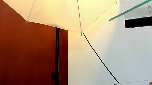 roan_birkin (M young) - cum show