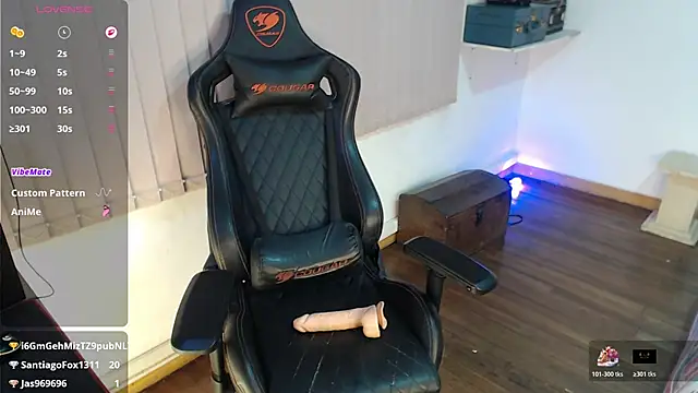 Siriss_boyrag webcam