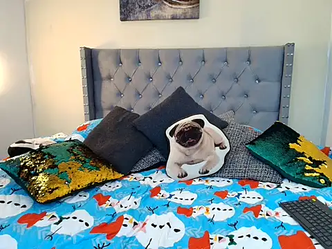 stewart_mateo_ webcam