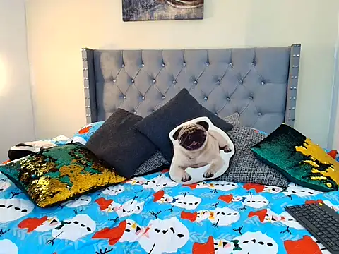 stewart_mateo_ webcam