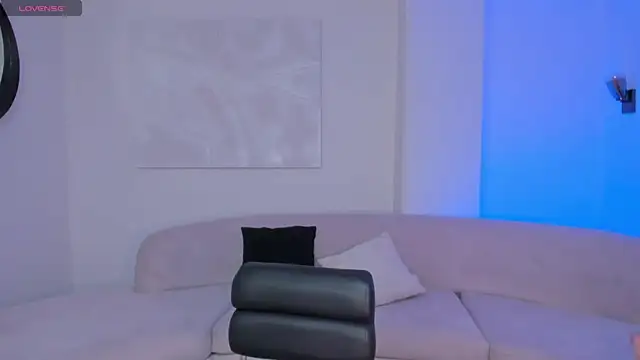 LaurentConnor webcam