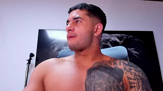 king_falconer webcam