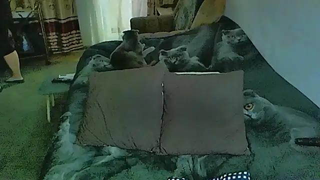 sex2 (F mature) - naked, squirt