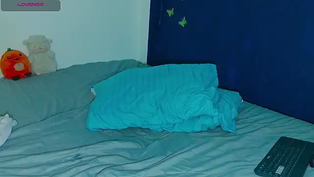 arnold_laurent_ webcam