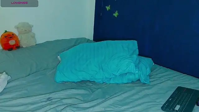 arnold_laurent_ webcam