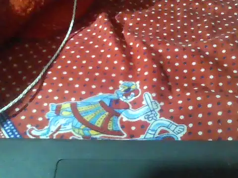 Stubborndesiboy webcam