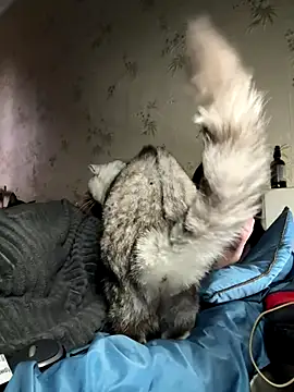 Naughtbaby_2025 webcam