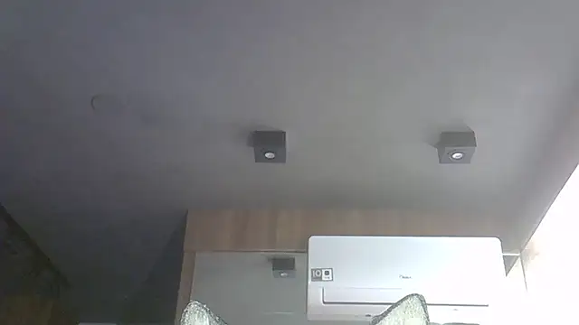 SkinnyKitten webcam