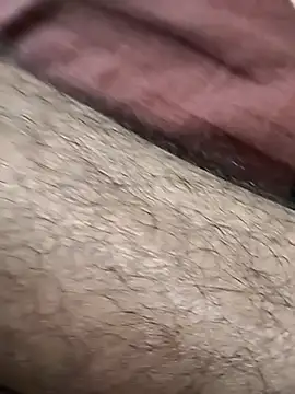 Teluguwildhorse webcam