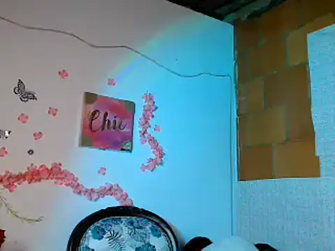 sophiadaza666 (F teen) - show pussy