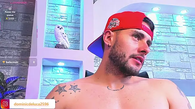 dominic_de_luca webcam