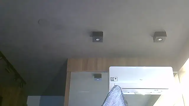 SkinnyKitten webcam