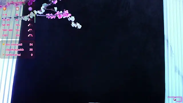 Aliyah_Brooks_cr webcam