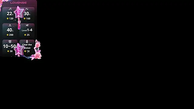 Romancartier_1 webcam