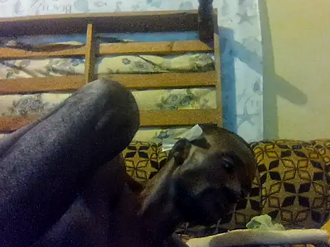 LookingLover34 webcam