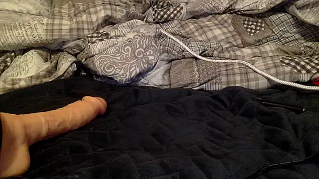 geilstel2025 Live Webcam on Stripchat