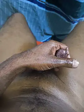 Shahinurismal webcam