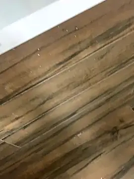 bfelipedasilva webcam