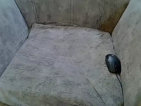 pradapussycat webcam