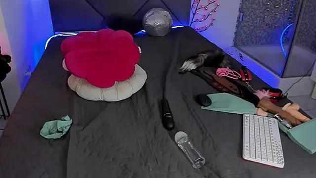 Preview of cassieevans