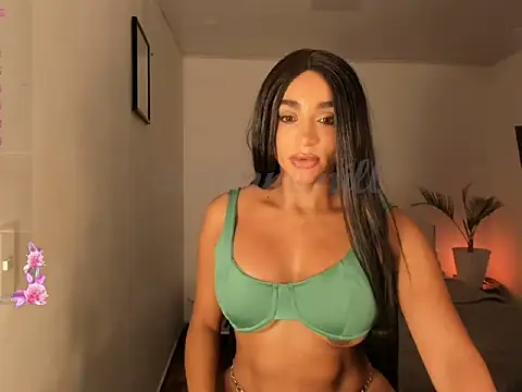 destinne_mill_ webcam