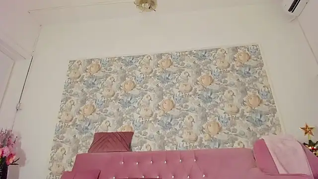 illegal_lorry webcam