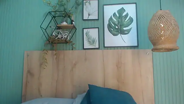 george_jonnes webcam