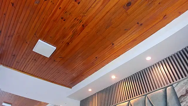 charlott_divine webcam